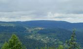 Percorso Marcia Vecoux - circuit vecoux depuis Parking les coucherons passant par 5 chalets - Photo 2