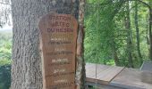 Trail Walking Luttenbach-près-Munster - Le Petit Ballon Hilsen - Photo 3