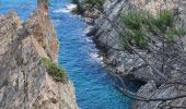 Percorso Marcia Banyuls-sur-Mer - Banyuls_Peyrefite_bis_T - Photo 8