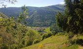 Tocht Stappen Mittlach - Lac d'Altenweiher - Photo 6