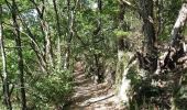 Trail Walking Yzeron - MAP - Yzeron Py Froid Le Giraud - Photo 4