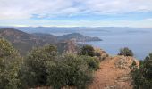 Trail On foot Saint-Raphaël - 2 pics et 3 cols depuis le parking d' Antheor - Photo 13