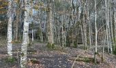 Trail  Saint-Julien-en-Vercors - Moulin marquis  - Photo 4