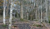 Excursión  Saint-Julien-en-Vercors - Moulin marquis  - Photo 4