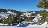 Randonnée Raquettes à neige Gréolières - GREOLIERES - Photo 9