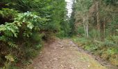 Trail Walking Cros - Le pont du diable, en p1rtant du gîte aux milles fleurs - Photo 7