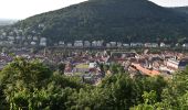 Tocht Te voet Onbekend - Wanderweg Königstuhl 2 - Photo 6