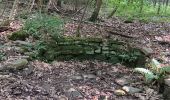 Randonnée Marche Sprimont - dans les bois au nord de Banneux - Photo 6