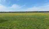 Trail Walking Bergen op Zoom - De Bergen op Zoom (NL) à Kalmthout (BE) sur le GR5 - Photo 6