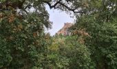 Tocht Stappen Saint-Raphaël - Pic roux grotte de sainte Baume - Photo 1