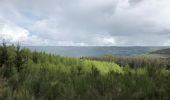 Tour Wandern Stablo - Stavelot et les crêtes de l’Amblève - Photo 12