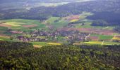 Trail On foot Weiach - Stadlerberg - Weiach - Photo 8