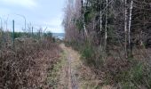 Tocht Stappen Ferrières - bosson . burnontige . lantroule . Le grand trixhe . bosson  - Photo 12