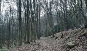 Excursión Senderismo Chaudfontaine - tour du bois de la rochette - Photo 1