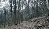 Percorso Marcia Chaudfontaine - tour du bois de la rochette - Photo 1