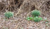 Tour Wandern Chaumont-Gistoux - #240216 - Bonlez, Aftia, Bruyères, Champ des Goffes**** - Photo 3