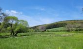 Trail Walking Fauvillers - rando honville 18-05-2023 - Photo 17