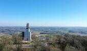 Percorso A piedi Tholey - Schaumberg-Tafeltour - Photo 5