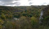 Tour Wandern Dinant - Parc naturel Furfooz - Photo 2