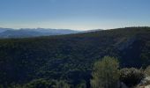 Tour Wandern Le Castellet - Roche Redonne  - Photo 13