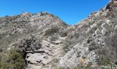 Trail Walking Collioure - MADELOC depuis col de la serra, via col formigo,  batterie 500, madeloc, col tellaferra  - Photo 10