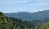 Trail Walking La Robine-sur-Galabre - LA ROBINE . Les Pharaons Au fil de l eau o m s - Photo 5