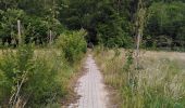 Randonnée Marche Seraing - Famelette Roches aux faucons Beauregard - Photo 8