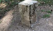 Trail On foot Zurich - Witikon - Maur Schiffstation - Photo 6