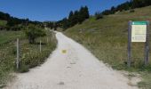 Trail Walking Châtillon-en-Diois - La Montagnette par le Pas de la Plane (Combau) - Photo 20
