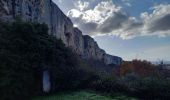 Trail Walking Lioux - Combe de Lioux Falaise de la Madeleine  - Photo 14