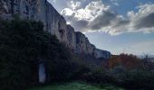 Excursión Senderismo Lioux - Combe de Lioux Falaise de la Madeleine  - Photo 14