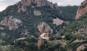 Tocht Stappen Saint-Raphaël - massif de l'Esterel : autour des grues  - Photo 9