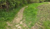 Trail Walking Saint-Chéron - Saint-Cheron - Autour du château du Marais - Photo 19