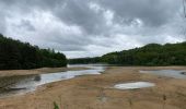 Tour Wandern Maasmechelen - Terhills deels paarse route 14km - Photo 6