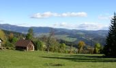 Tour Zu Fuß Paseky nad Jizerou - [Z] Na Perlíčku-Jablonec n. Jiz. - Photo 9