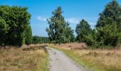 Tour Zu Fuß Undeloh - Nordic Walking 15S Undeloh - Photo 9