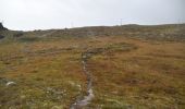 Tour Zu Fuß Westport-Belmullet Municipal District - Lookout Hill Loop Walk - Photo 3