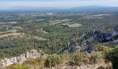 Percorso Marcia Saint-Rémy-de-Provence - les alpilles  arsel - Photo 16