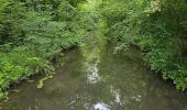 Tour Wandern Saint-Hilaire - Saint-Hilaire - Géosite et abri gravé - Photo 2