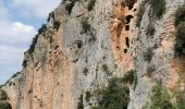 Tour Wandern Cabasse - Cabasse - Lac de Carcès - Issole - ND du Glaive - Dolmen de la Gastée - Photo 18