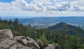 Tour Wandern Lützelhausen - Rocher de Mutzig (variante) - Photo 17