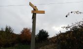 Tocht Stappen Vaugneray - col de Malval  - Photo 3