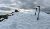 Tocht Sneeuwschoenen Isola - Cime de Tavels  - Photo 10