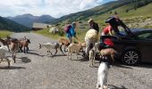 Randonnée Marche Cervières - Arsem Les fonts de Cervieres - Photo 2