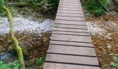 Randonnée Marche Lans-en-Vercors - Defilé du Bruyant et le Bec de l'aigle  - Photo 3