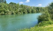 Randonnée Marche nordique Montereau-Fault-Yonne - Boucle les deux fleuves - Photo 10