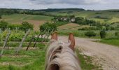 Tour Reiten Mollkirch - 2019-05-26 Balade Fête des mères - Photo 4