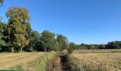 Tocht Te voet Buckautal - Naturparkrundwanderweg 52 - Photo 1