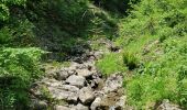 Trail Walking Albese con Cassano - Monte bolettone - Photo 4