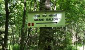 Trail Walking Colmar - Willer sur Thur - Grand Ballon- Willer sur Thur - Photo 3